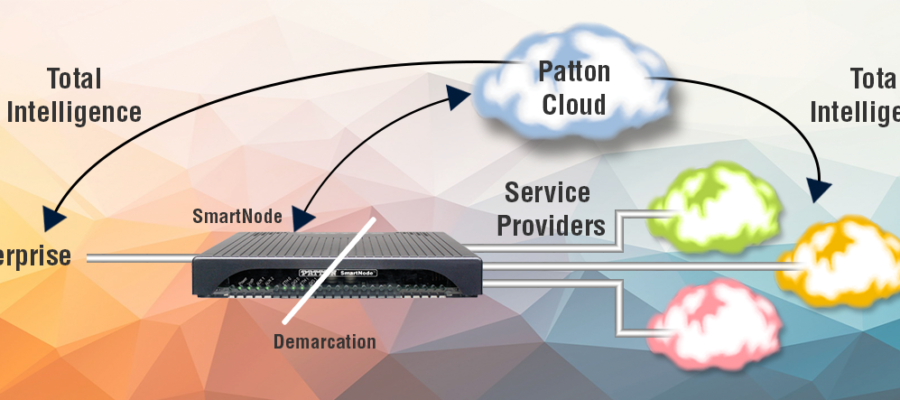 Patton Cloud Total Intelligence Network Edge Services Diagram