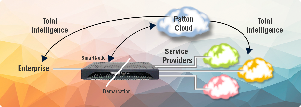 Patton Cloud Total Intelligence Network Edge Services Diagram
